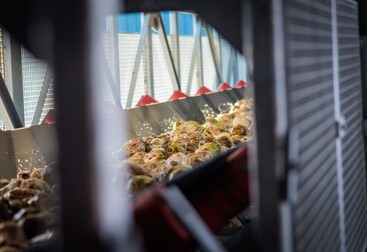 Bieten in de fabriek